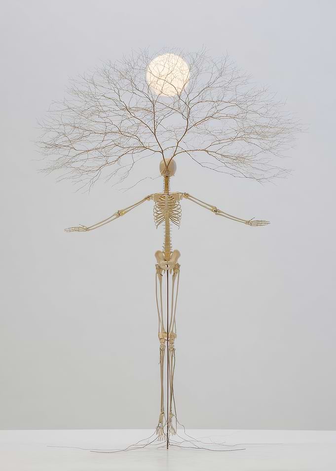 Skeletal Figure with Tree and Light