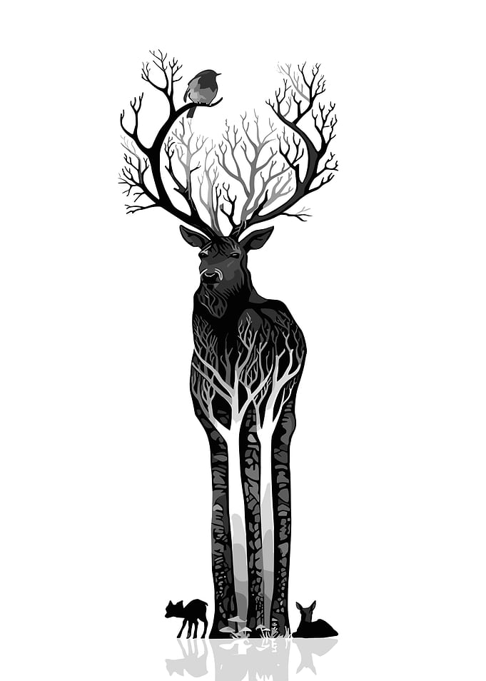 Deer and Forest Silhouette Illustration