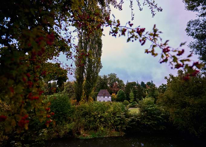 House in the Woods by the Water
