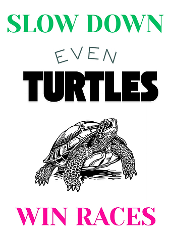 Slow Down Turtles Win Races