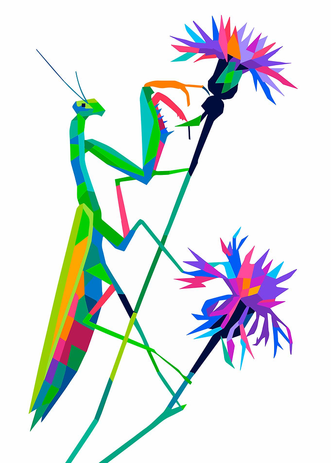 Mantis on Flowers