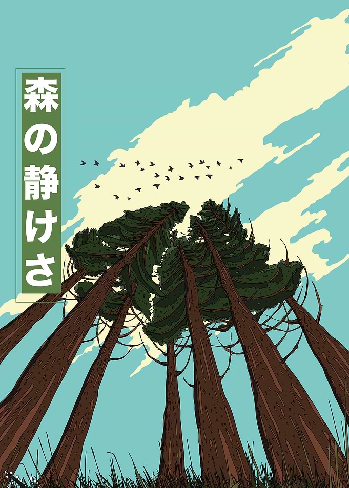 Forest Serenity: Tall Trees and Sky