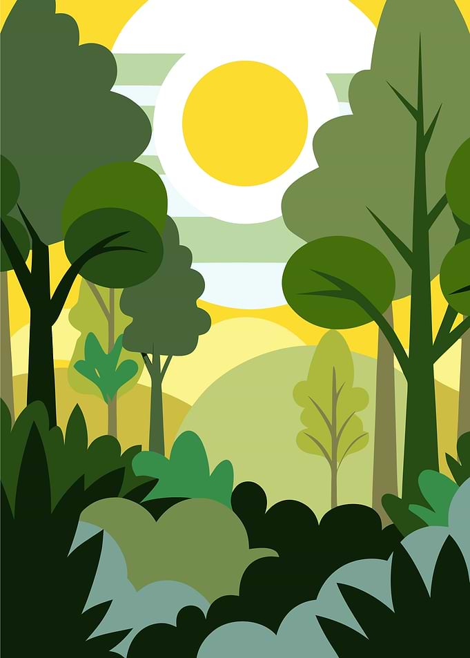 Cartoon Forest Landscape with Sun