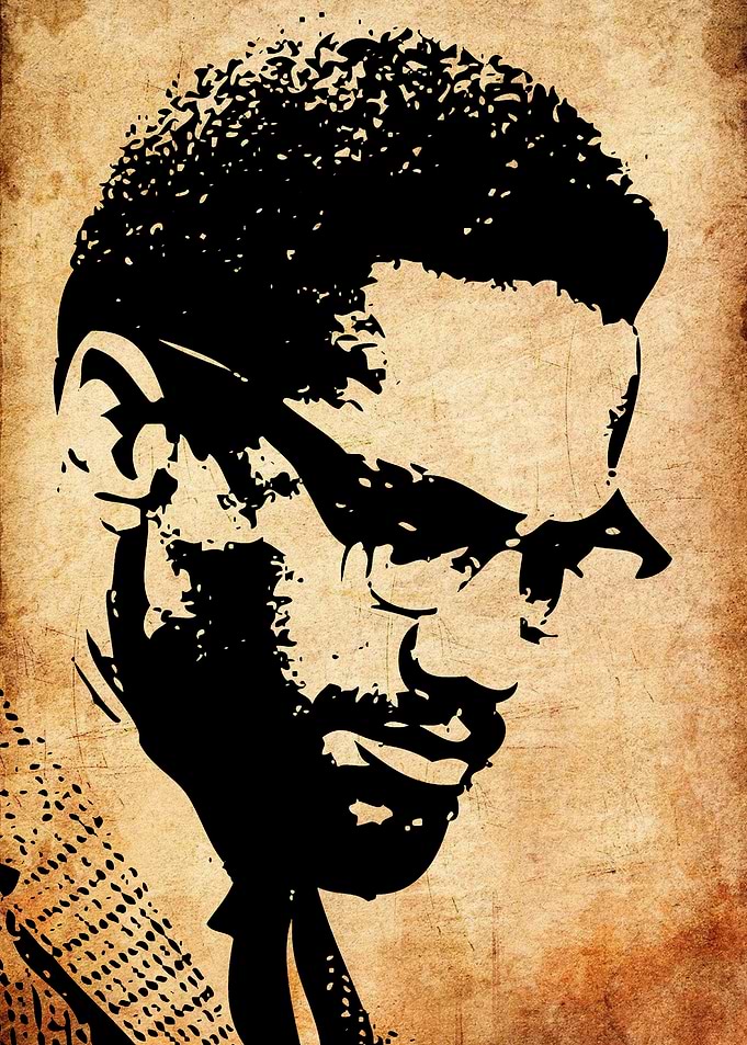 Malcolm X Portrait Art