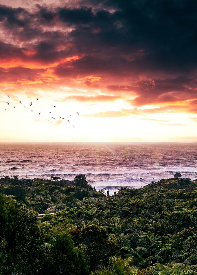 Sunset over the ocean with lush vegetation