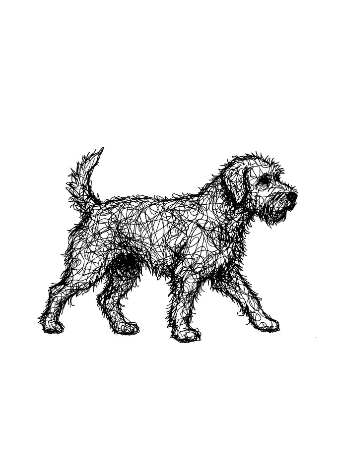 Dog Sketch Art