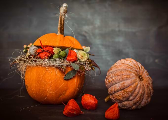 Autumnal Pumpkin and Physalis Still Life