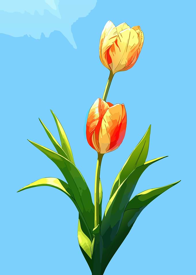 Two Tulips Against a Blue Sky