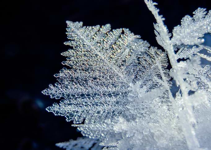 Macro Ice Crystal Formation on Dark Background