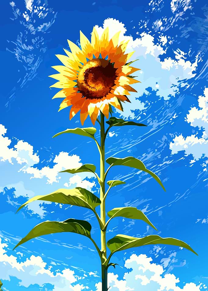 Sunflower against a blue sky