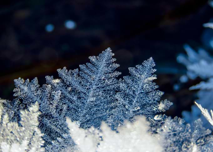 Delicate Ice Crystals on Dark Background