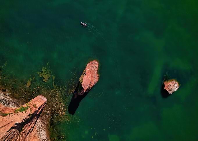 Aerial view of rowboat on green water