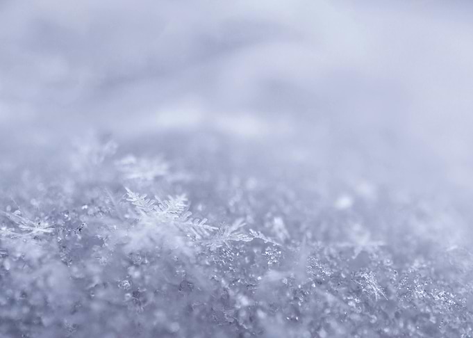 Close-up of Snowflakes