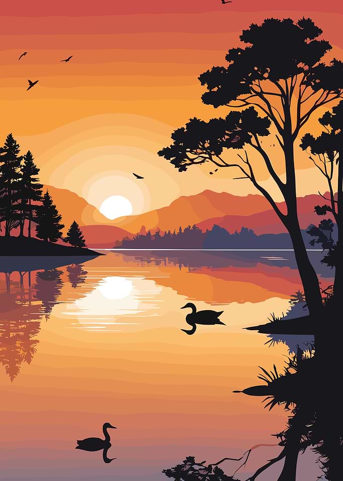 Sunset Lake with Ducks Illustration