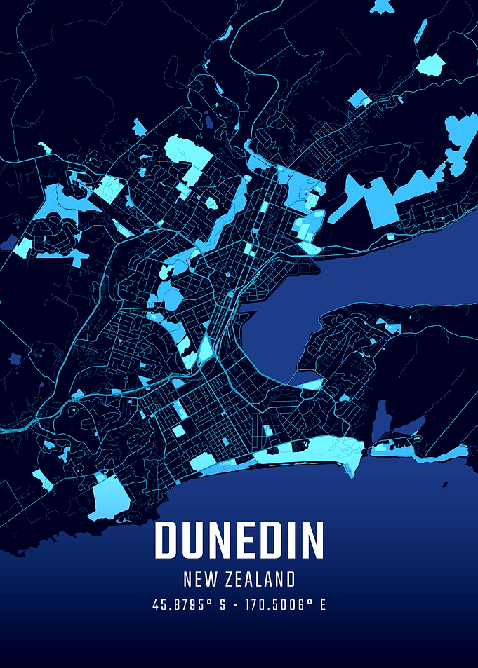 Dunedin Midnight City Map