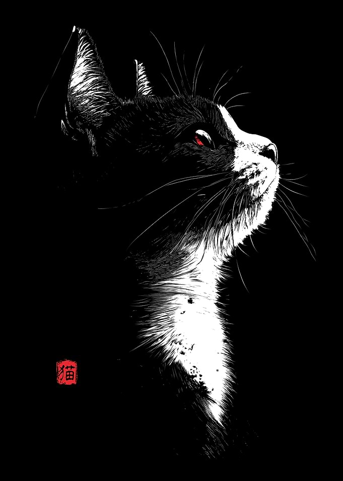 Attentive Cat