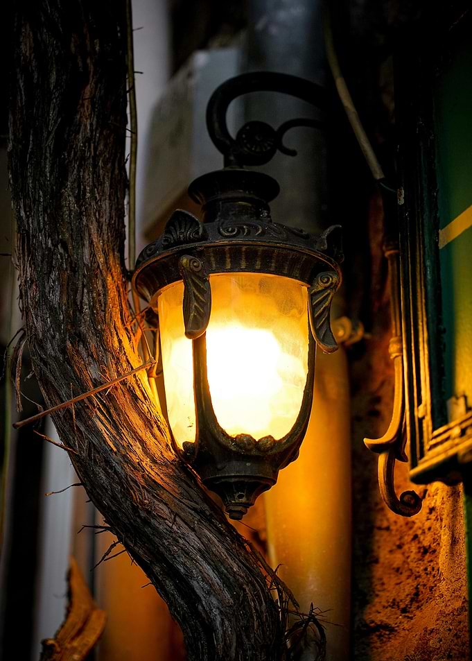 Illuminated Vintage Street Lamp with Tree