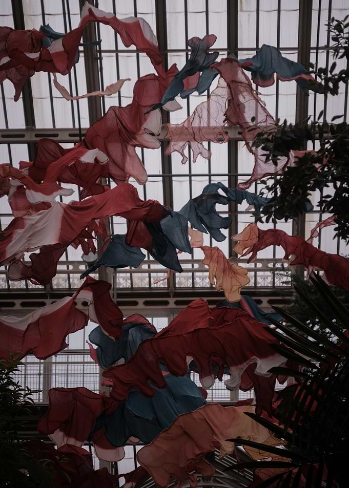 Colorful Fabric Installation in Greenhouse