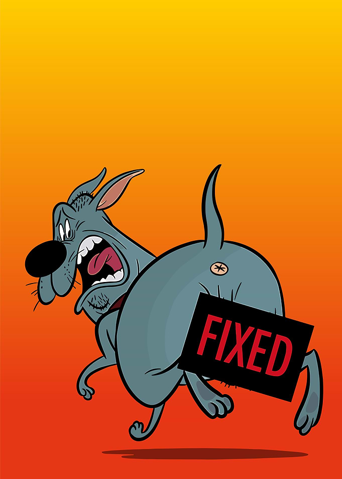 Fixed The Dog