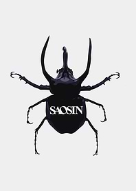 Saosin Beetle Graphic