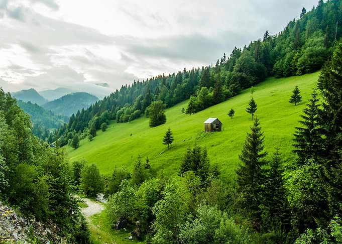 Green Mountain Landscape with Cabin