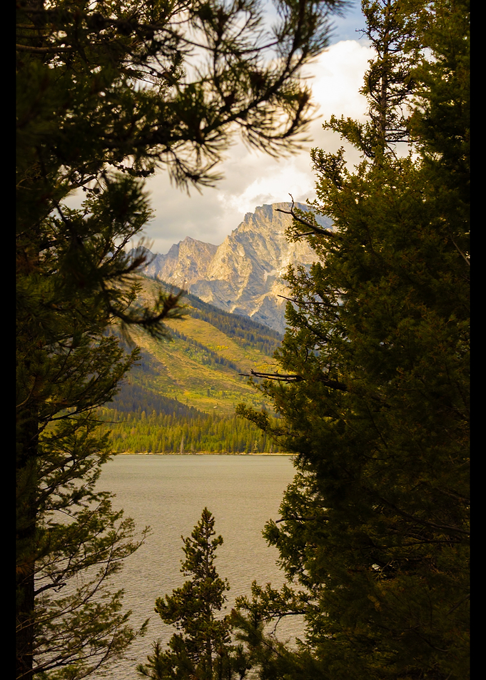 Framed by Pines