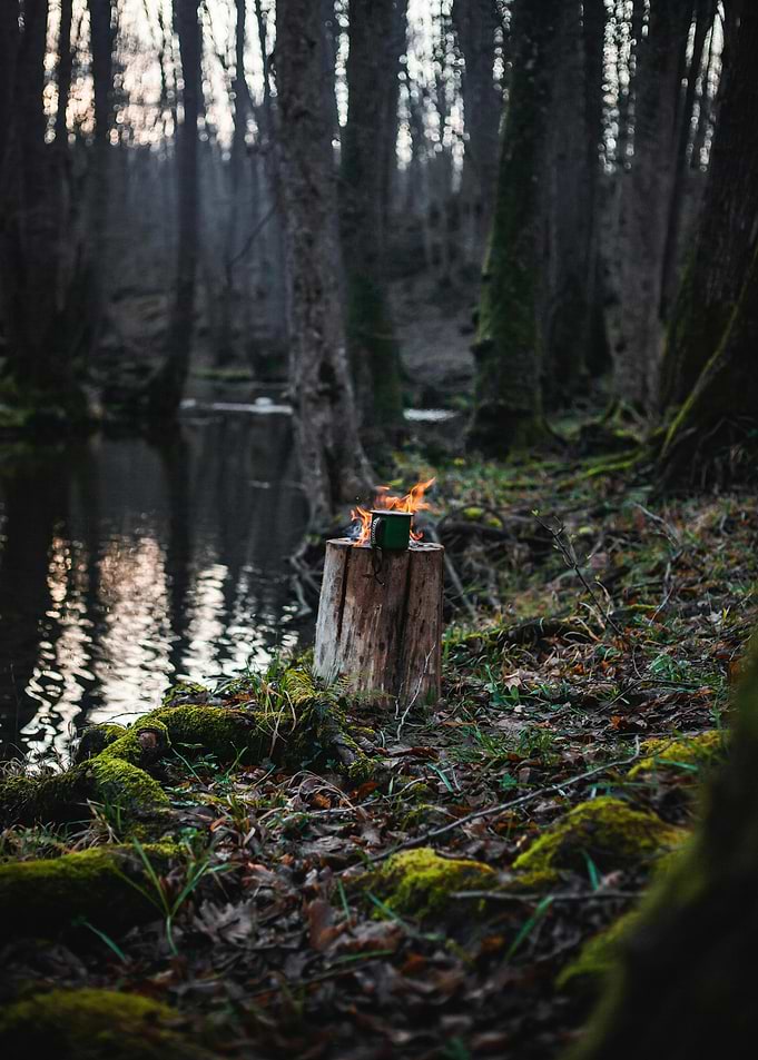 Campfire Coffee in the Woods