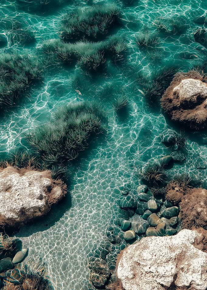 Crystal Clear Water with Rocks and Grass