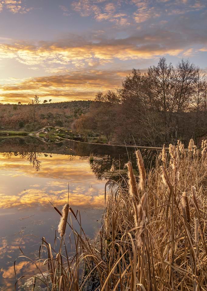 Sunset reflections