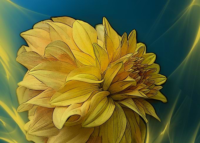 Yellow Dahlia Flower in veils of yellow light