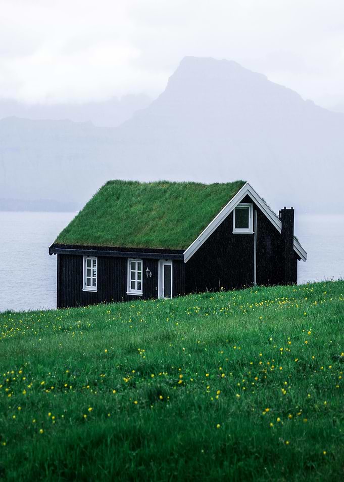 House with grass roof in nature