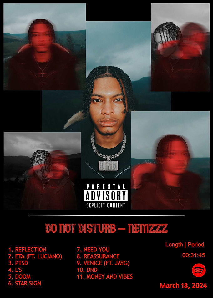 Do Not Disturb - Nemzzz Album Cover