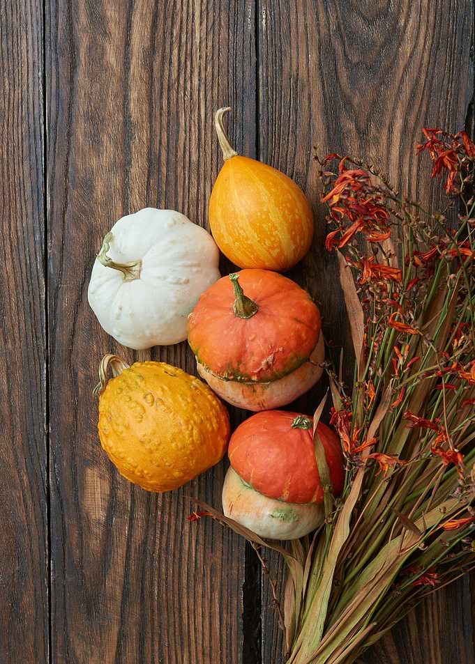 Autumnal Pumpkins and Dried Flowers Still Life