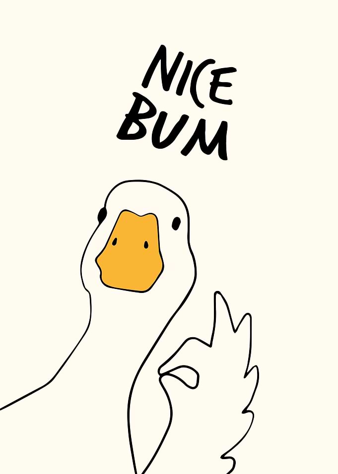 Nice Bum Duck Toilet