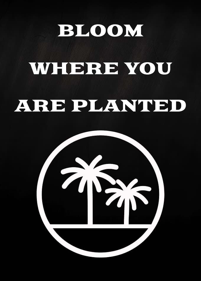 Bloom Where You Are Planted Poster