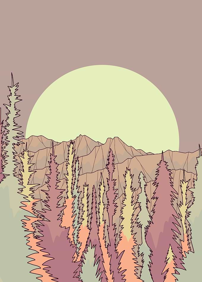 Mountain trees