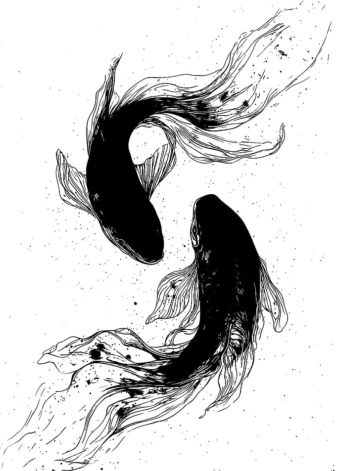 Two Black Koi Fish Illustration