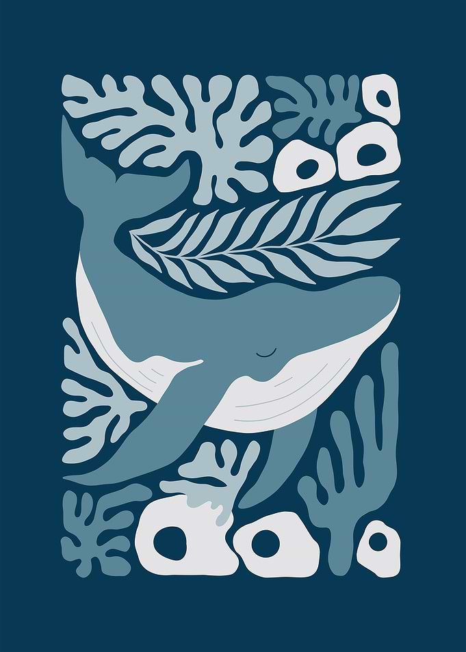 Whale Kingdom Dark