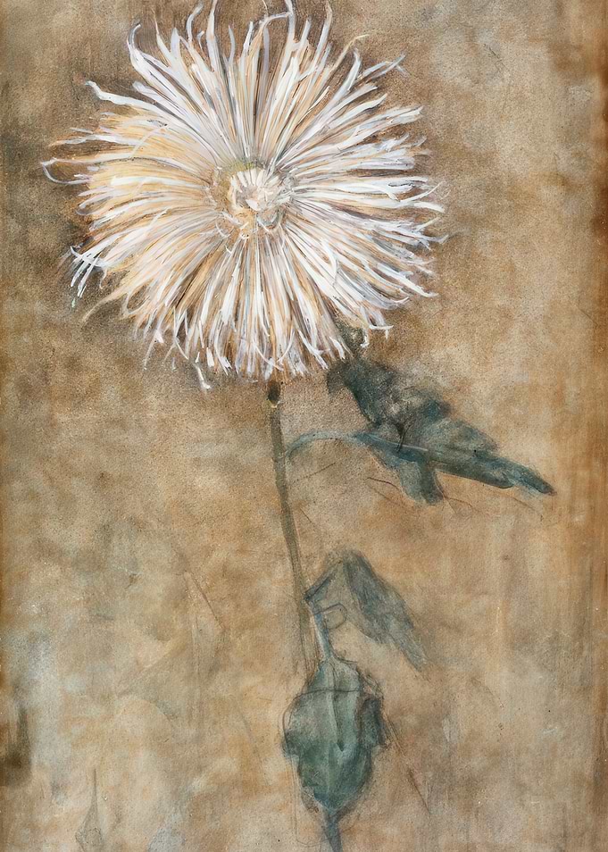 Floral Painting: Chrysanthemum on Brown Background,artist piet mondrian