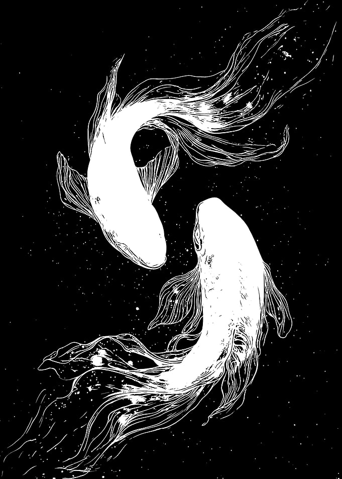 Fish in Black and White