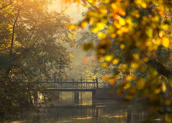Autumn bridge over calm water