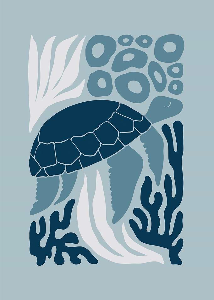 Sea Turtle Swim