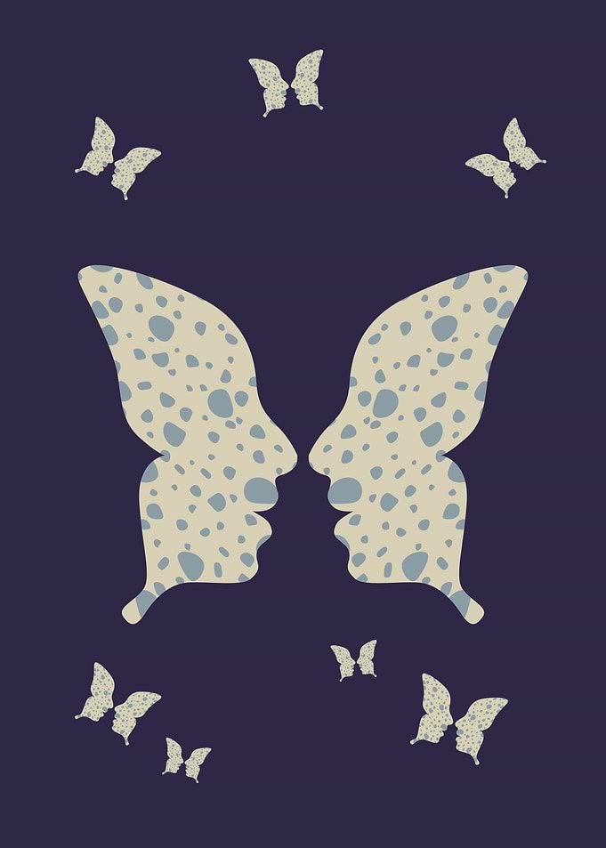 Butterfly Faces Illusion Art