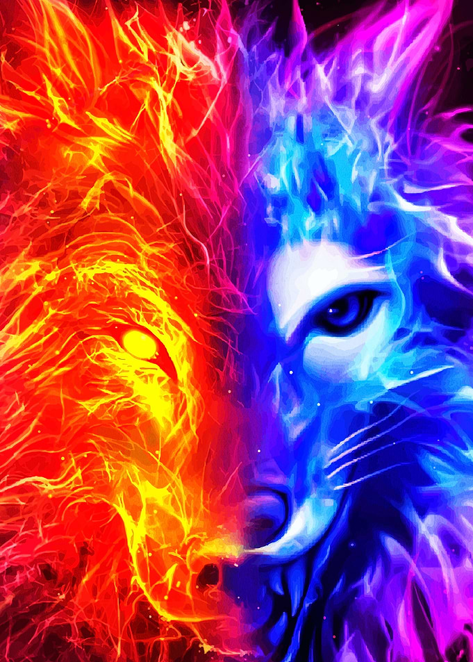 Fire and Ice Wolf Digital Art