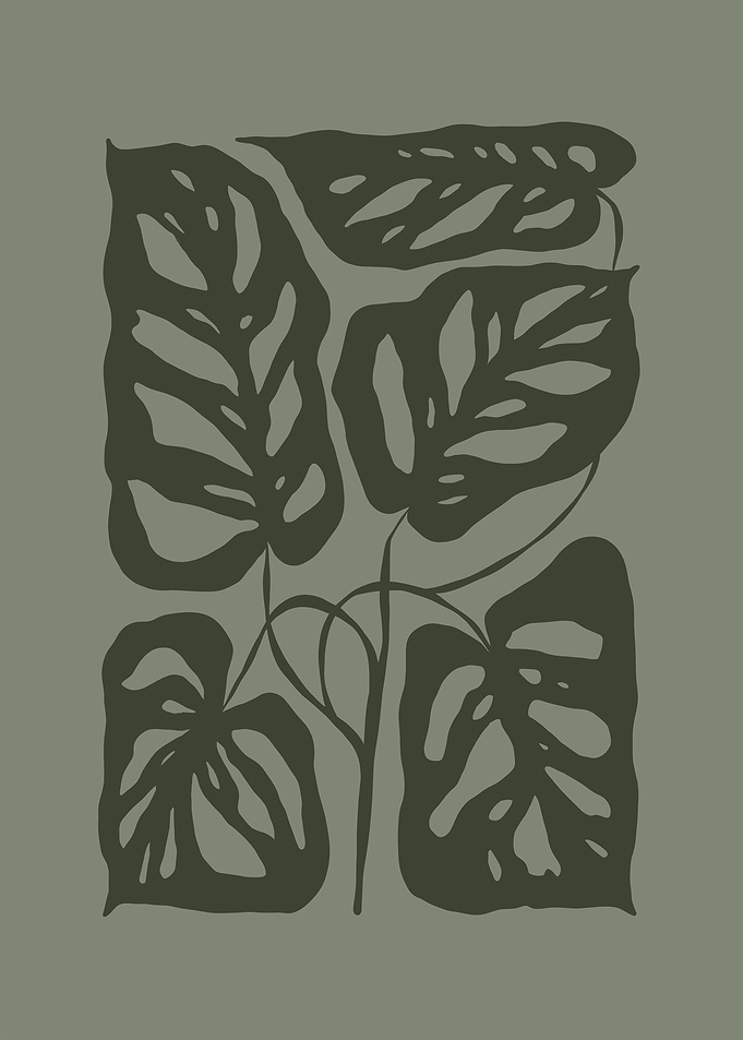 Monstera Lover
