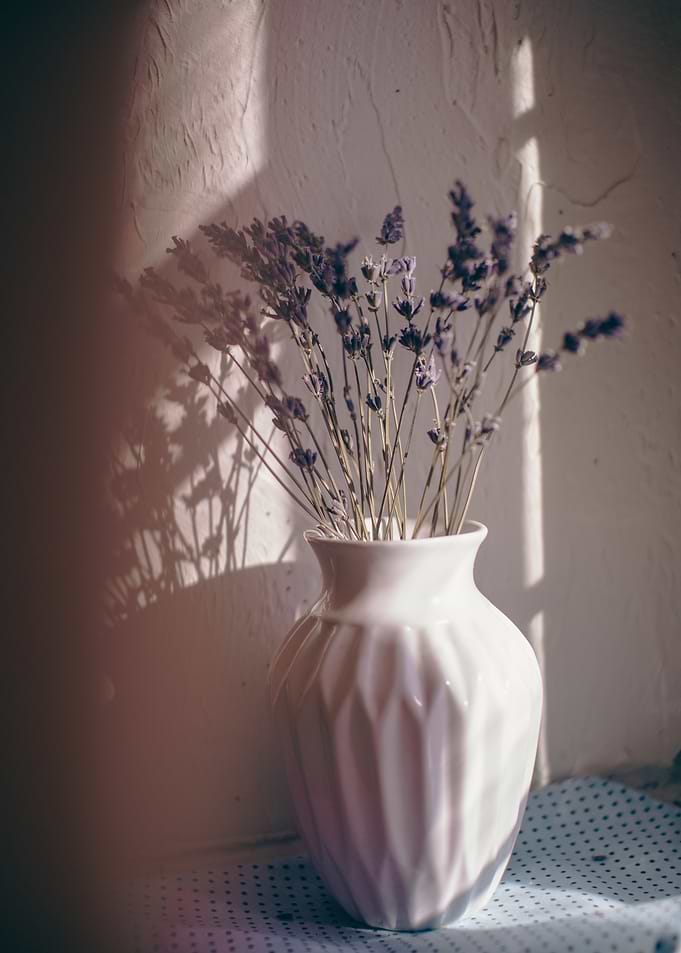 Lavender in White Vase Still Life