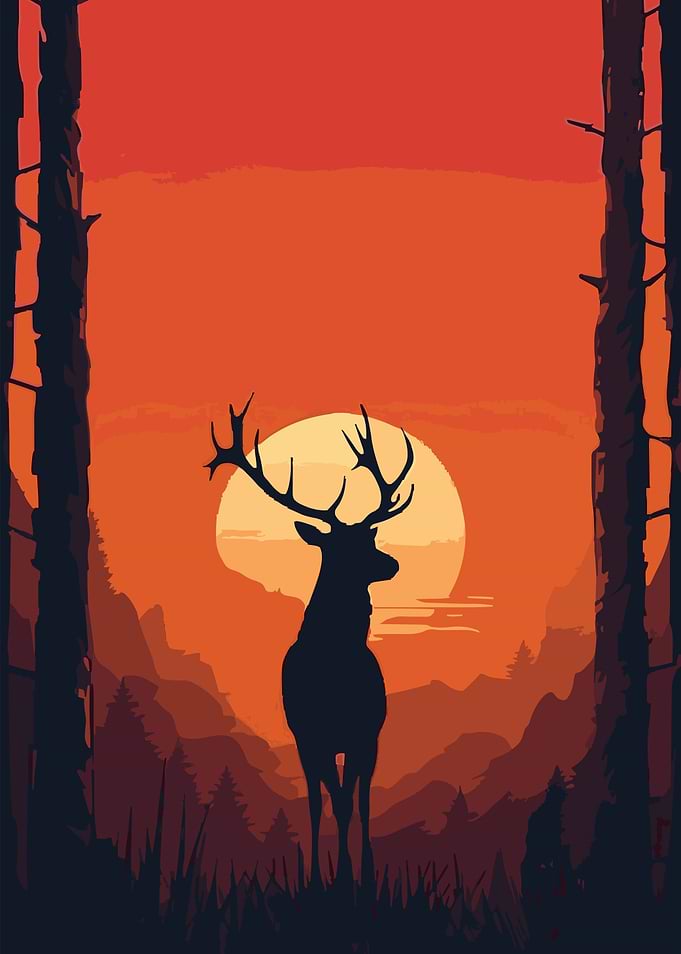 Deer Silhouette in Forest at Sunset