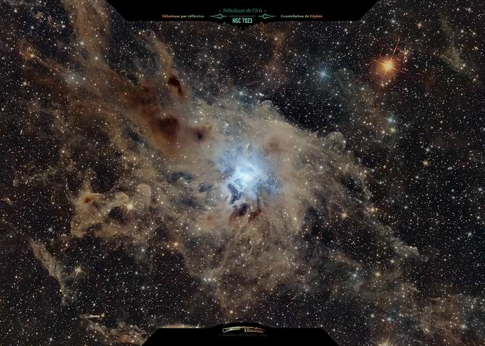 Nebula NGC 7023: Iris Nebula