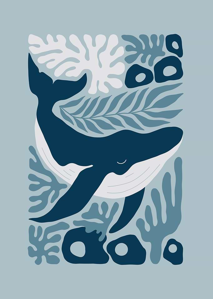 Whale Kingdom