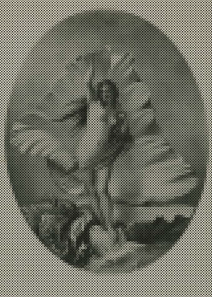 Birth of a Nereid